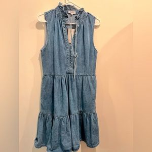 Fate denim dress
